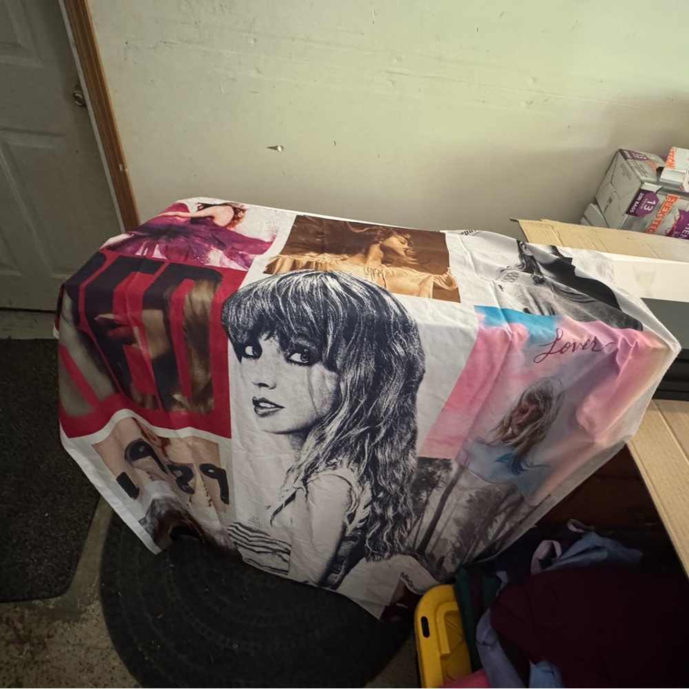 Taylor Swift Art